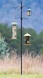 photos of Bird Feeder Pole Base photos of Bird Feeder Pole Base
