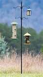 photos of Bird Feeder Pole Base