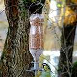 photos of Bird Feeder Two Liter