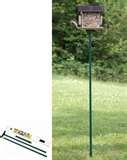 Bird Feeder Pole Base images Bird Feeder Pole Base images