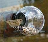 Bird Feeder Data pictures Bird Feeder Data pictures