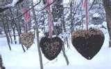 images of Bird Feeders Fat images of Bird Feeders Fat