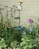 Bird Feeder Data pictures Bird Feeder Data pictures