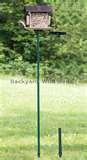 Bird Feeder Pole Base pictures Bird Feeder Pole Base pictures