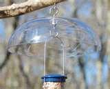 images of Bird Feeders Hardware