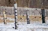 pictures of Bird Feeders Models pictures of Bird Feeders Models