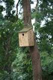 Bird Feeders Bangalore photos Bird Feeders Bangalore photos