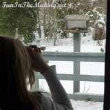 Bird Feeder Varieties images Bird Feeder Varieties images