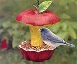 images of Bird Feeder Small Birds images of Bird Feeder Small Birds