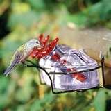 Bird Feeder Gift Set photos