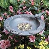 Bird Feeder Varieties photos Bird Feeder Varieties photos