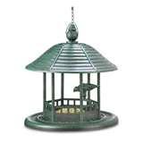 Bird Feeder Appeal pictures Bird Feeder Appeal pictures
