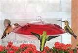photos of Bird Feeders Suction photos of Bird Feeders Suction