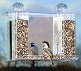 Bird Feeders Suction Bird Feeders Suction