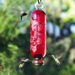 Bird Feeder Gift Set