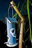 Bird Feeders With Poles pictures