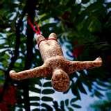 images of Bird Feeder Los Angeles images of Bird Feeder Los Angeles