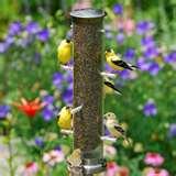 Bird Feeders Yard-art images