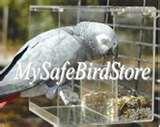 pictures of Bird Feeder Icon pictures of Bird Feeder Icon