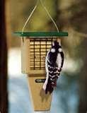 pictures of Bird Feeder Against Squirrels