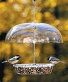 Bird Feeders Rochester Mn images