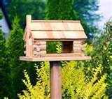 photos of Bird Feeder Quote photos of Bird Feeder Quote