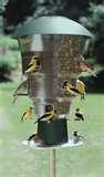 Bird Feeder Circuit images Bird Feeder Circuit images