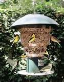 Bird Feeder Circuit pictures