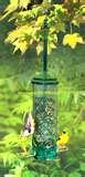 pictures of Bird Feeder Against Squirrels pictures of Bird Feeder Against Squirrels