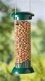 Are Bird Feeders Good For Birds