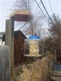 Bird Feeder Out Of Recycled Materials