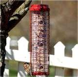 images of Bird Feeder Against Squirrels images of Bird Feeder Against Squirrels