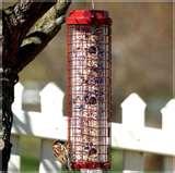 images of Bird Feeder Against Squirrels