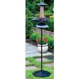 images of Bird Feeder Circuit images of Bird Feeder Circuit