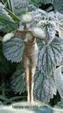 images of Snowman Bird Feeder Statue images of Snowman Bird Feeder Statue