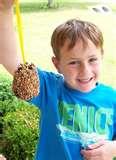 images of Are Bird Feeders Good For Birds images of Are Bird Feeders Good For Birds