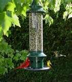 photos of Bird Feeder Against Squirrels