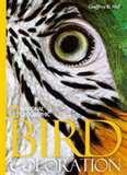 images of Bird Feeders National Geographic images of Bird Feeders National Geographic