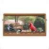 Opus Bird Feeder Company pictures Opus Bird Feeder Company pictures