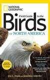 images of Bird Feeders National Geographic images of Bird Feeders National Geographic