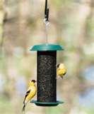 pictures of Bird Feeders Nyjer