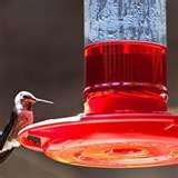 Bird Feeders By Aspect Bird Feeders By Aspect