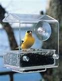 Bird Feeders By Aspect images Bird Feeders By Aspect images