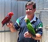 Bird Feeders Adelaide South Australia photos