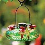 Bird Feeders National Geographic pictures