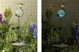 pictures of Bird Feeder With Solar Light pictures of Bird Feeder With Solar Light