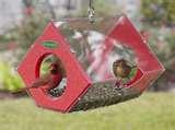 pictures of Bird Feeders Fly Thru
