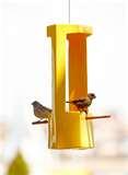 Bird Feeder Phoenix pictures Bird Feeder Phoenix pictures