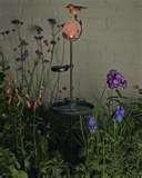 pictures of Bird Feeder With Solar Light pictures of Bird Feeder With Solar Light