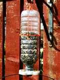 Bird Feeder Glue photos Bird Feeder Glue photos